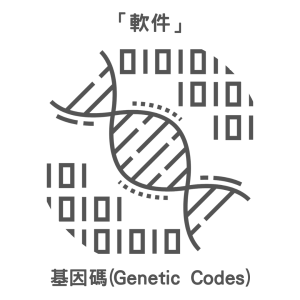 「軟件」：基因碼(Genetic Codes)